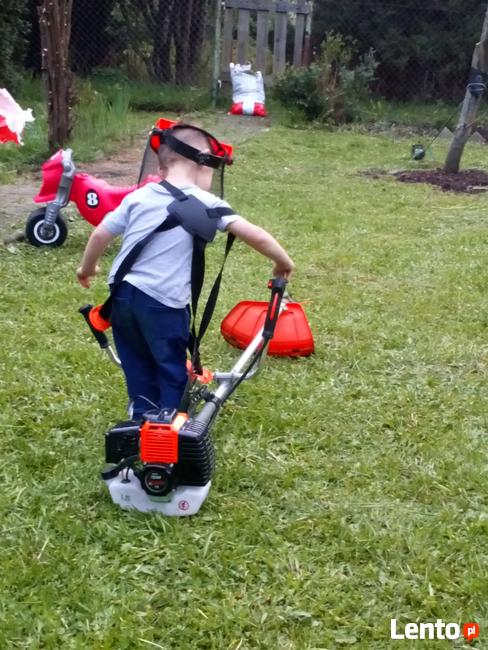 Koszenie Przycinka Sprzątanie Wywóz