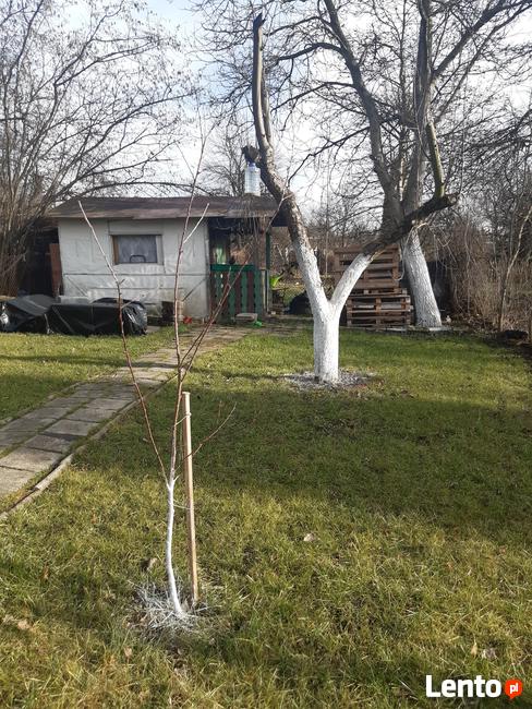 Koszenie Przycinka Sprzątanie Wywóz