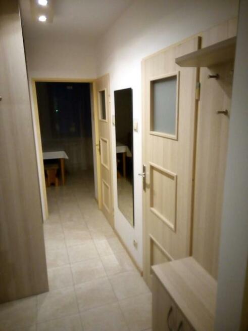 wynajmę kawalerkę nad Potokiem