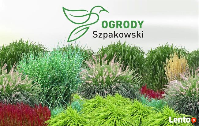 ZAKŁADANIE I PIELĘGNACJA OGRODÓW Ogrody SZPAKOWSKI 502138859