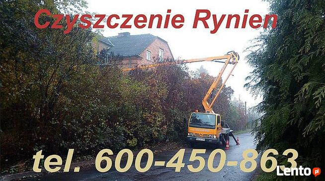 Mycie Elewacji, Mycie Dachu, Malowanie Elewacji, Impregnacja