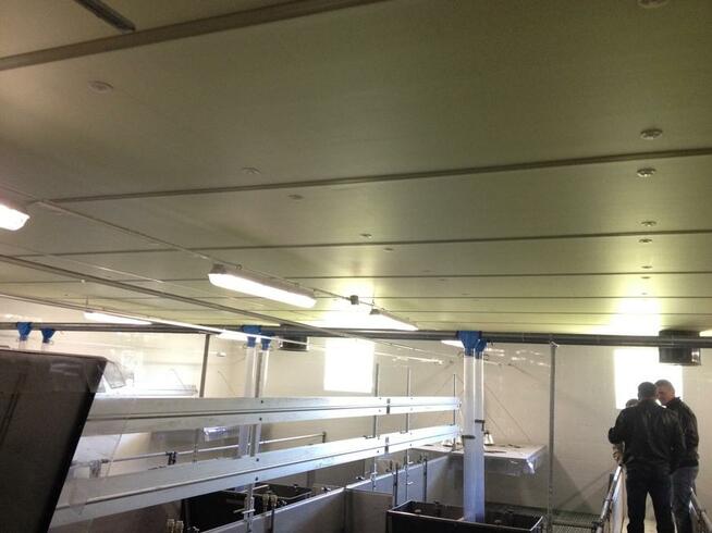 PŁYTA DOCIEPLENIOWA AGRO! 50MM KURNIKI, OBORY, CHLEWNIE