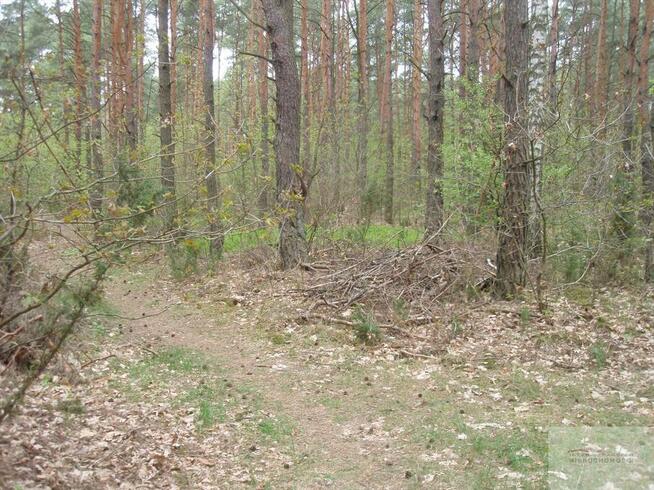 Działka budowlana Warszawa Wawer