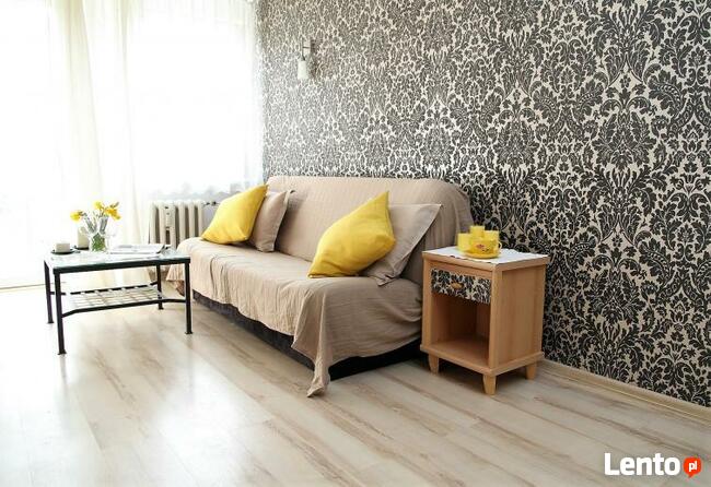 Złota Rączka Malowanie Tapeta Panele Glazura