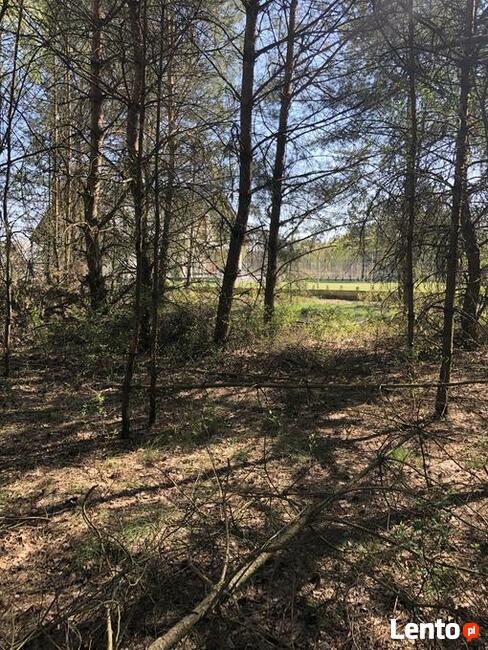Rynarzewo działka ze ścianą lasu ul.Powstańców Wlkp.