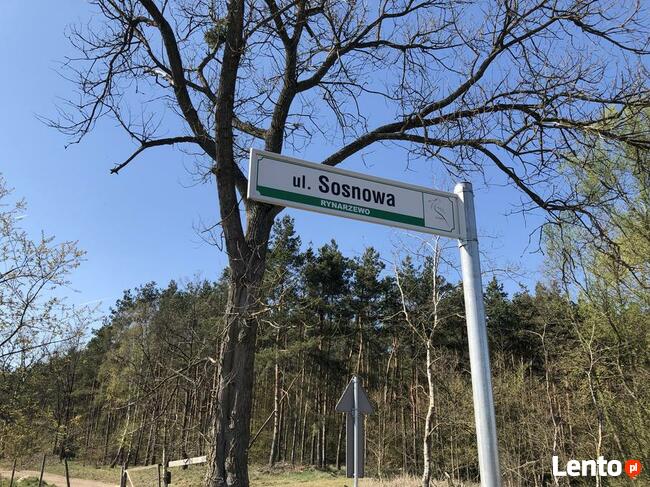 Rynarzewo działka ze ścianą lasu ul.Powstańców Wlkp.