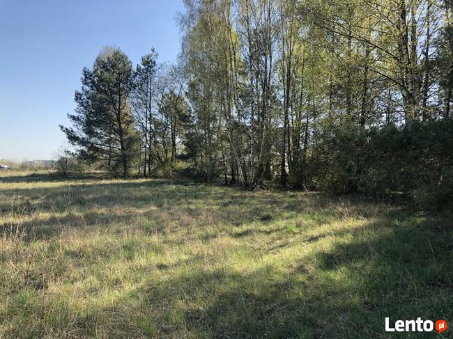Rynarzewo działka ze ścianą lasu ul.Powstańców Wlkp.