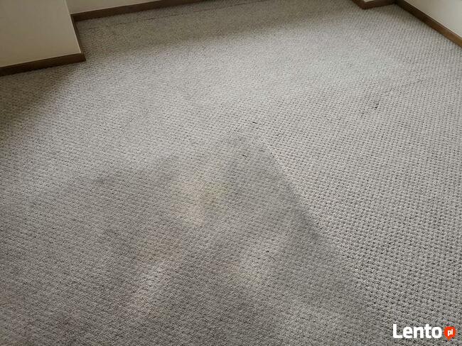 Karcher Zaniemyśl tel 605-412-568 pranie wykładzin tapicerki