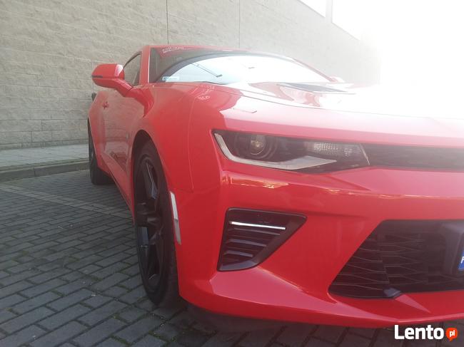 Stabilny 50 na stały związek