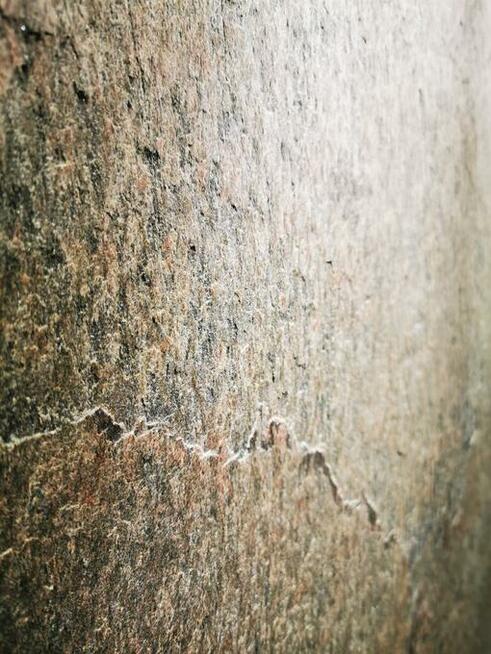 Fornir kamienny Golden - złota elegancja / STONELAND