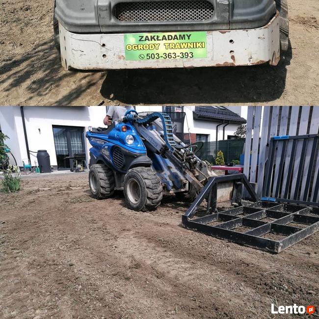 Zakładanie trawnika z siewu rolki trawnik siany siatka przec