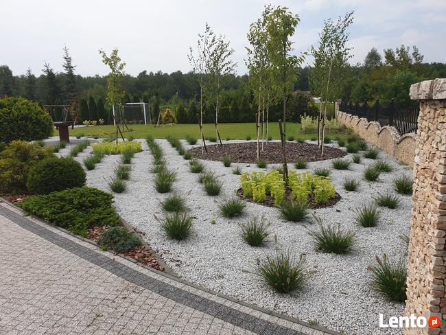 Zakładanie trawnika z siewu rolki trawnik siany siatka przec