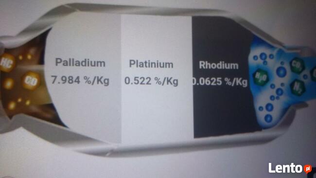skup katalizatorów i monolitu-gotówka, skup FAP, DPF Biardy