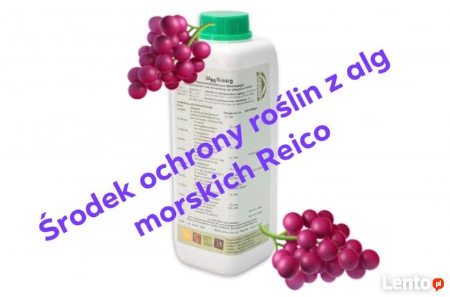Płyn 3A86 uprawa roślin z alg morskich naturalny ReicoNiemcy