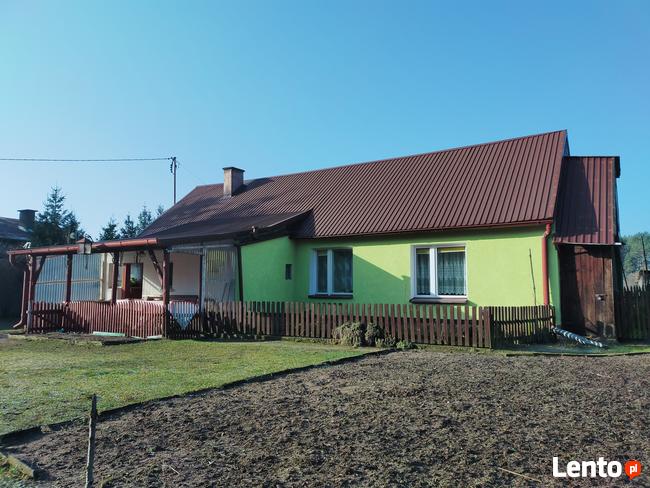Dom jednorodzinny z działką oraz lasem. Gmina Osie