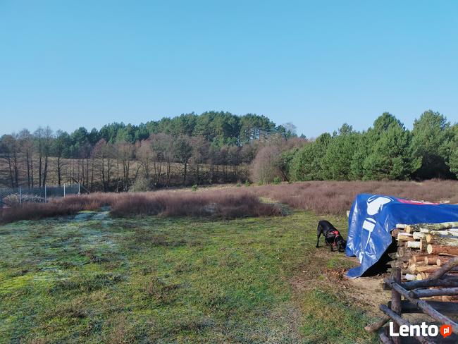 Dom jednorodzinny z działką oraz lasem. Gmina Osie