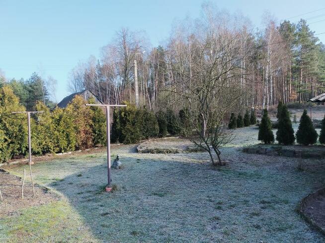 Dom jednorodzinny z działką oraz lasem. Gmina Osie