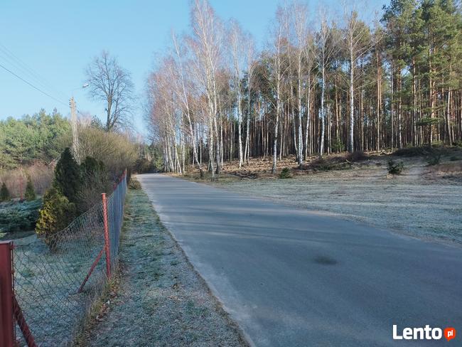 Dom jednorodzinny z działką oraz lasem. Gmina Osie