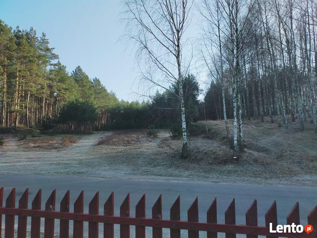 Dom jednorodzinny z działką oraz lasem. Gmina Osie