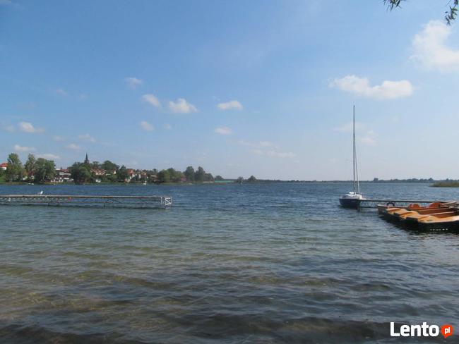 Powidz, okolica,kupię dom- nieruchomość