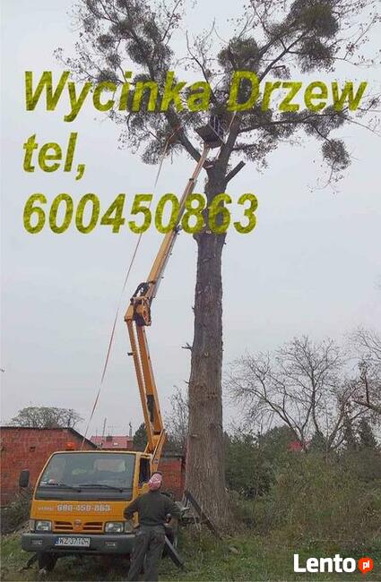 Mycie Dachu, Impregnacja, Mycie Elewacji, Malowanie, Marki,