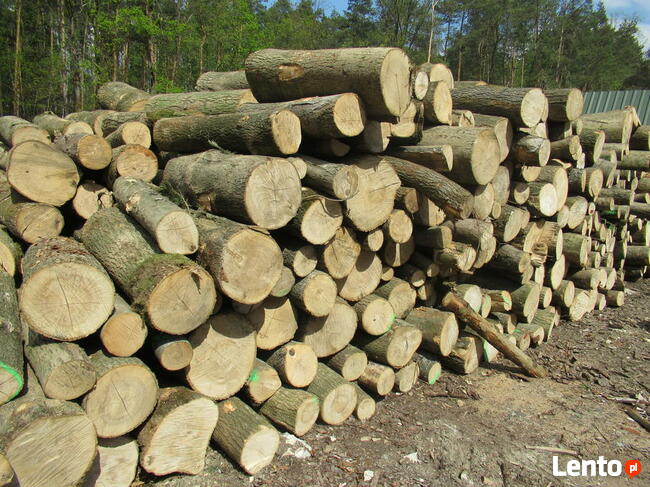 Drewno opałowe, drewno budowlane