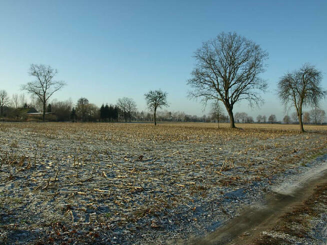 Działka budowlana Liszkowice gm. Rojewo