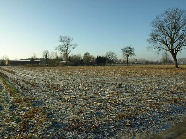 Działka budowlana Liszkowice gm. Rojewo