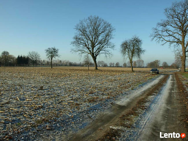 Działka budowlana Liszkowice gm. Rojewo