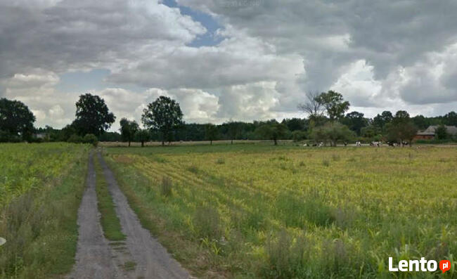 Działka budowlana Liszkowice gm. Rojewo