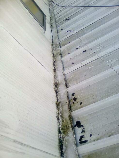 Mycie dachow i elewacji