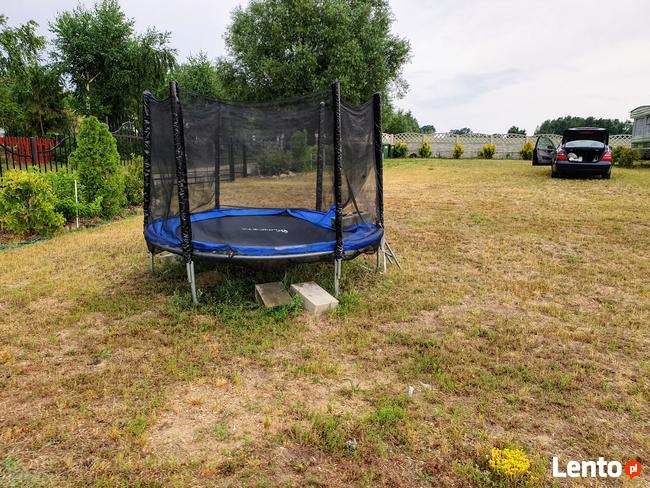 Domki holenderskie wynajmuje w Kobylej Górze