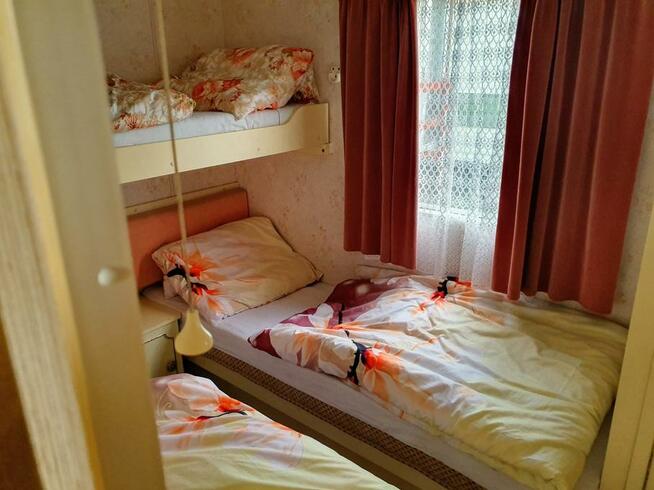 Domki holenderskie wynajmuje w Kobylej Górze