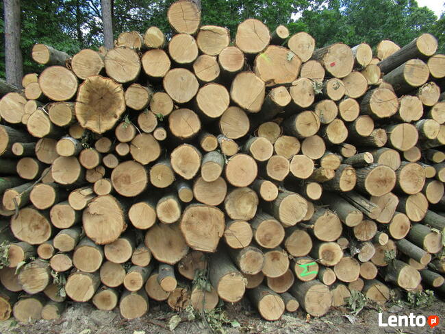 Drewno opałowe, drewno budowlane
