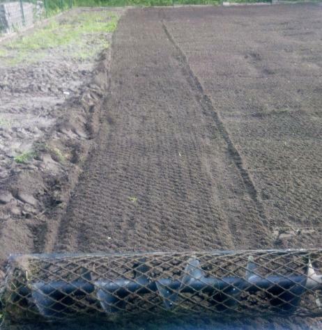 Usługi minikoparka Rybnik Knurów Żory Orzesze Gliwice Suszec