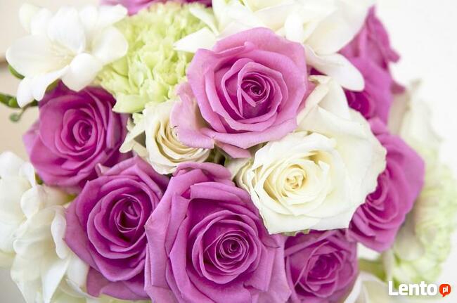 Fotograf wideofilmowanie zdjęcia kamerzysta plener