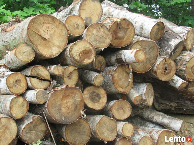 Drewno opałowe, drewno budowlane