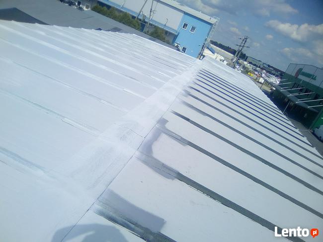 Malowania dachow i elewacji