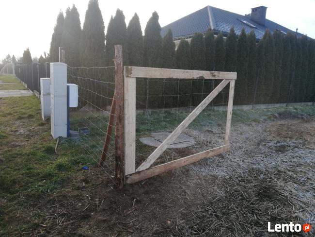 Budowa ogrodzenia Tymczasowe Siatka leśna wybieg dla zwierzą