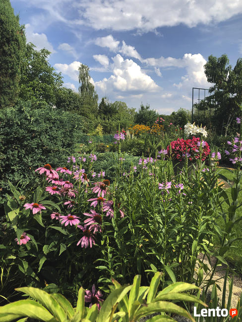 Projektowanie ogrodów, terenów zieleni, aranżacje ogrodowe