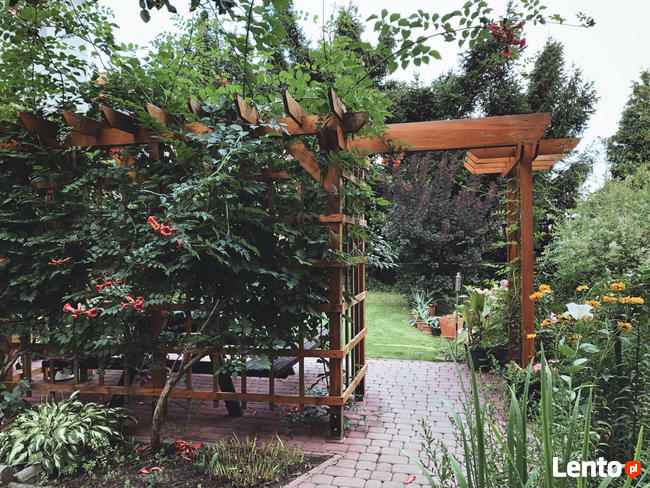 Projektowanie ogrodów, terenów zieleni, aranżacje ogrodowe