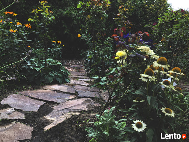 Projektowanie ogrodów, terenów zieleni, aranżacje ogrodowe