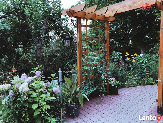 Projektowanie ogrodów, terenów zieleni, aranżacje ogrodowe