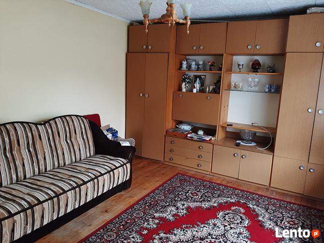 Dom jednorodzinny z działką oraz lasem. Gmina Osie