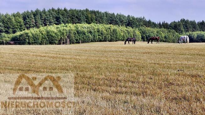 Działka siedliskowa Miechęcino gm. Dygowo, Miechęcino