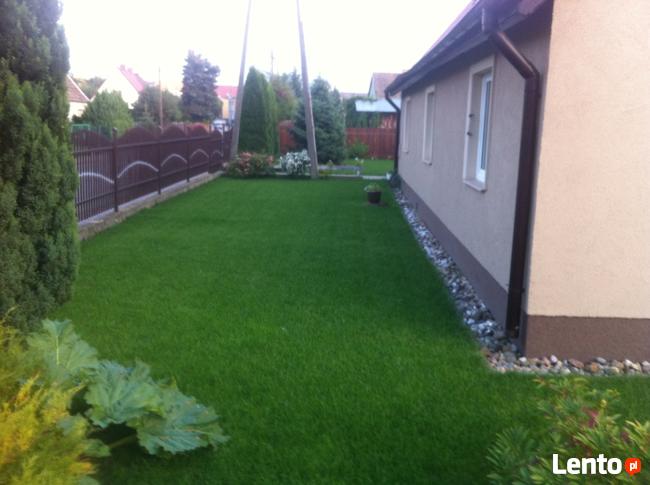 ZAKŁADANIE OGRODÓW MIĘDZYRZECZ I OKOLICE