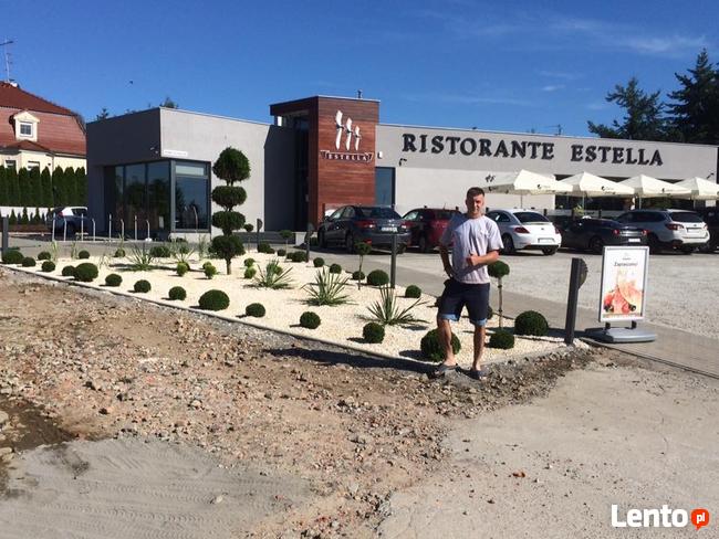 zakładanie pielęgnacja ogrodów Poznań i okolice