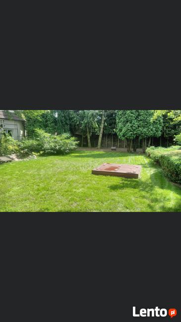 zakładanie pielęgnacja ogrodów Poznań i okolice