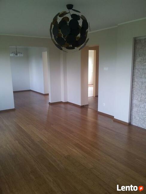 Drzwi, Panele, Gold-hand