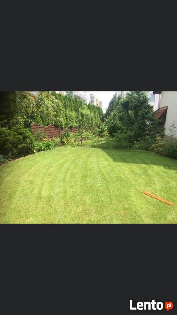 zakładanie pielęgnacja ogrodów Poznań i okolice